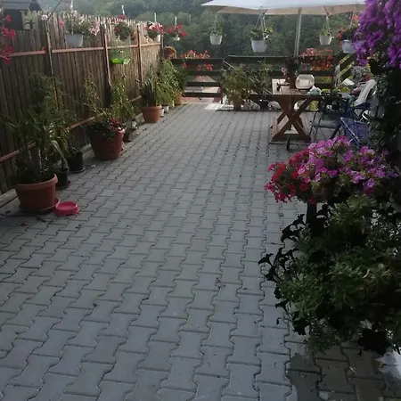 Casa Molnos Guest house Sighisoara